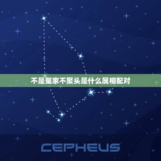 不是冤家不聚头是什么属相配对，不是冤家不聚头是什么生肖？