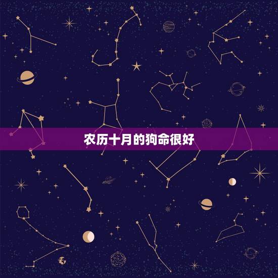 农历十月的狗命很好,十月的狗的命运怎么样 农历十月的狗命很好,十月的狗的命运怎么样