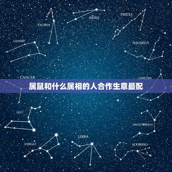属鼠和什么属相的人合作生意最配，属鼠和什么属相合伙经营最配