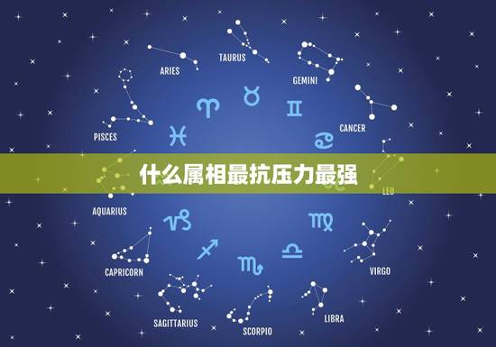 什么属相最抗压力最强，属羊配什么属相最好呕？16年运势及运程