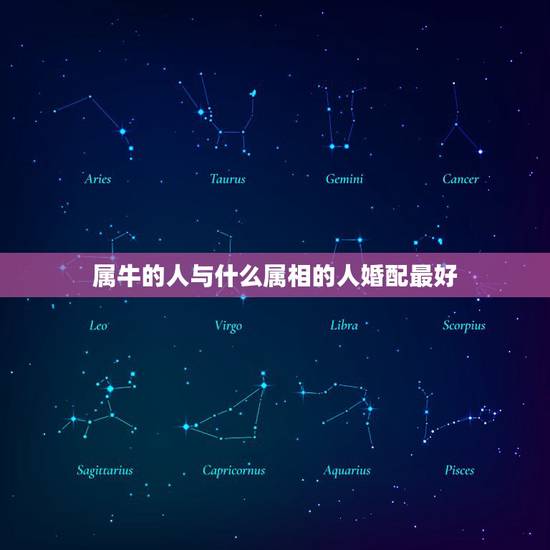 属牛的人与什么属相的人婚配最好，属牛的和什么属相的人合作合适