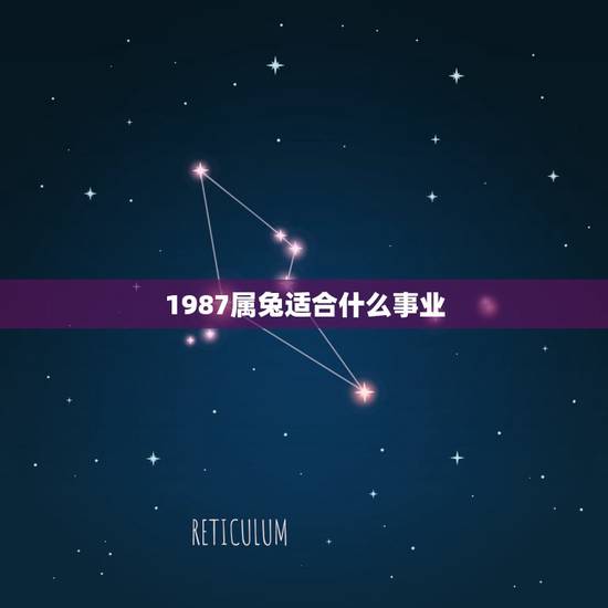 1987属兔适合什么事业,1987年属兔的人要做什么事业才能发展 1987属兔适合什么事业,1987年属兔的人要做什么事业才能发展