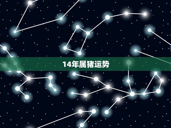 14年属猪运势，2022 年属猪运程