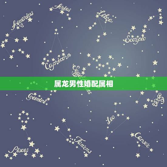 属龙男性婚配属相,男性生肖属龙的属相婚配表,男人属龙和什么属相最配 属龙男性婚配属相,男性生肖属龙的属相婚配表,男人属龙和什么属相最配
