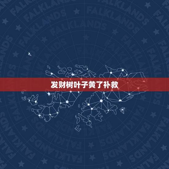 发财树叶子黄了补救，发财树被茶叶水浇过叶子开始发黄，该怎么办