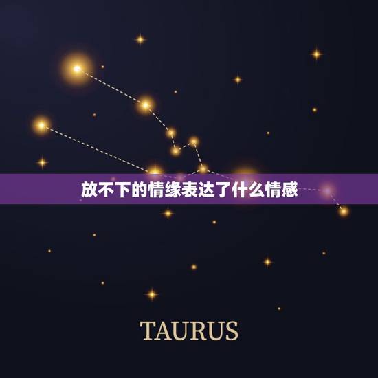 放不下的情缘表达了什么情感，放不下的情缘这首歌词含义是什么