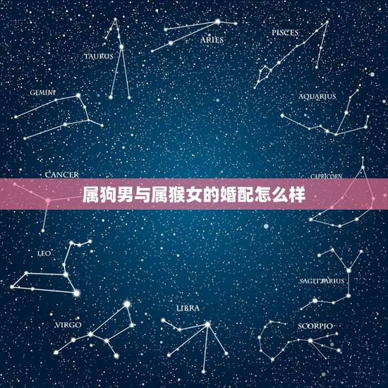 属狗男与属猴女的婚配怎么样，1994年属狗男与1992年属猴女的婚配