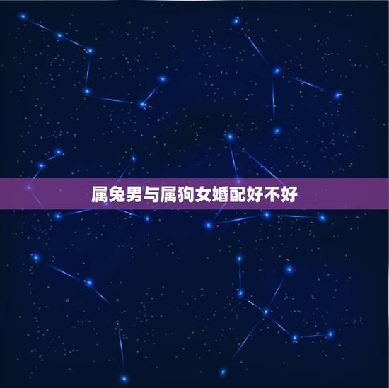 属兔男与属狗女婚配好不好,属狗为什么纠缠属兔的 属兔男与属狗女婚配好不好,属狗为什么纠缠属兔的