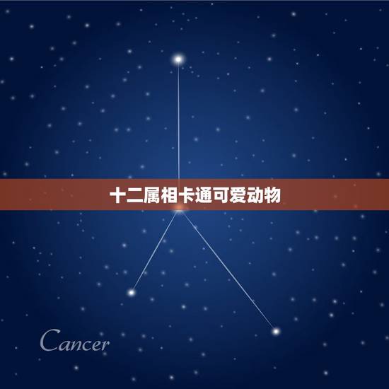 十二属相卡通可爱动物,十二生肖总动的故事 十二属相卡通可爱动物,十二生肖总动的故事