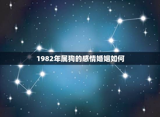1982年属狗的感情婚姻如何,1982年属狗婚姻配对 1982年属狗的感情婚姻如何,1982年属狗婚姻配对