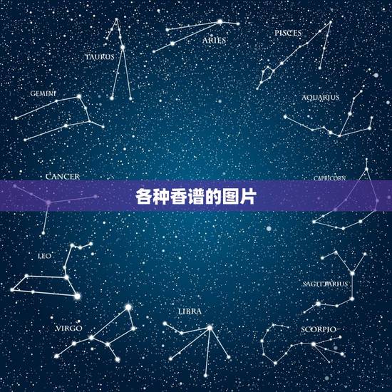 各种香谱的图片,观音香谱看一下是什么香? 各种香谱的图片,观音香谱看一下是什么香?