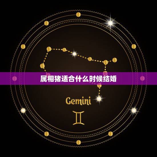 属相猪适合什么时候结婚,属猪的和什么属相的人相配? 属相猪适合什么时候结婚,属猪的和什么属相的人相配?