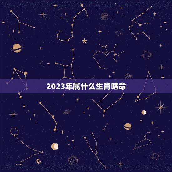 2023年属什么生肖啥命，2023年适合生孩子的属相