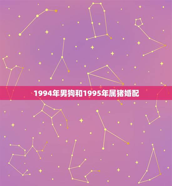 1994年男狗和1995年属猪婚配,1994年属狗的婚配1995属猪好 1994年男狗和1995年属猪婚配,1994年属狗的婚配1995属猪好