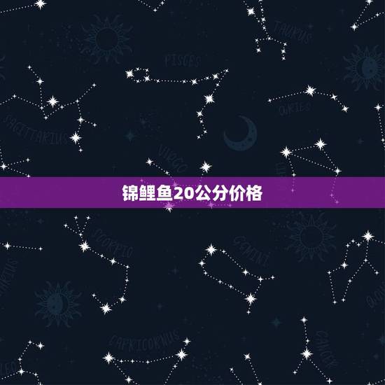 锦鲤鱼20公分价格，20厘米长锦鲤鱼多少钱一条