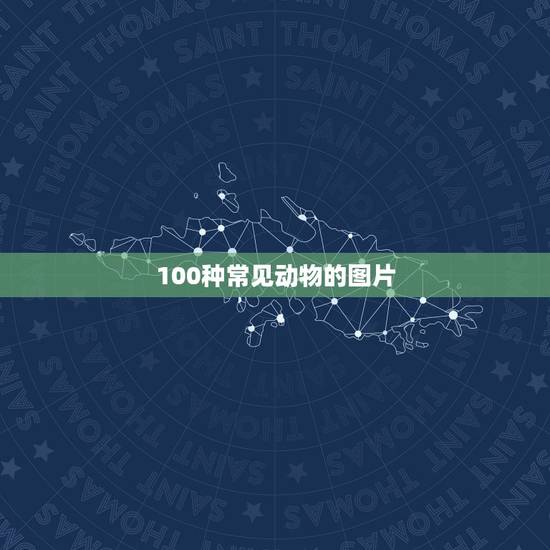 100种常见动物的图片 儿童早教动物图片 100种常见动物的图片 儿童早教动物图片