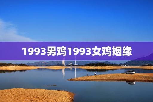 1993男鸡1993女鸡姻缘 夫妻都属鸡好不好 1993男鸡1993女鸡姻缘 夫妻都属鸡好不好
