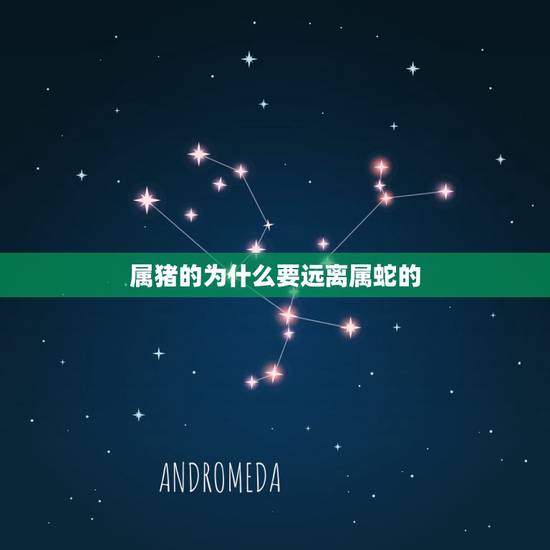 属猪的为什么要远离属蛇的,男蛇女猪成功案例 属猪的为什么要远离属蛇的,男蛇女猪成功案例