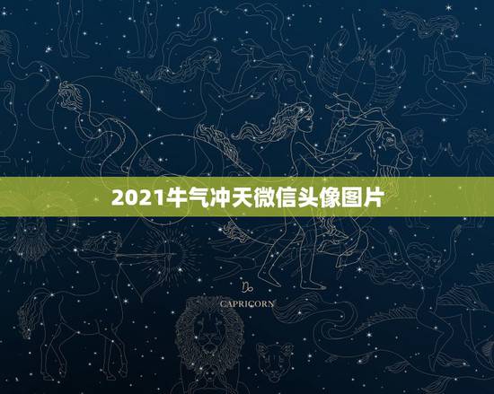 2021牛气冲天微信头像图片，有什么好做微信头像的图片。显得高大上的。