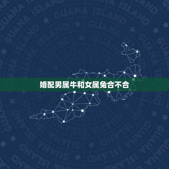 婚配男属牛和女属兔合不合,属牛男和属兔女婚姻怎样 婚配男属牛和女属兔合不合,属牛男和属兔女婚姻怎样