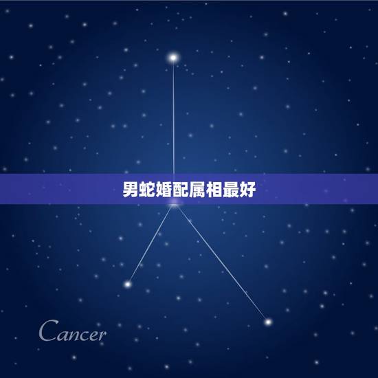 男蛇婚配属相最好，属蛇婚配表，蛇男跟什么属相最配