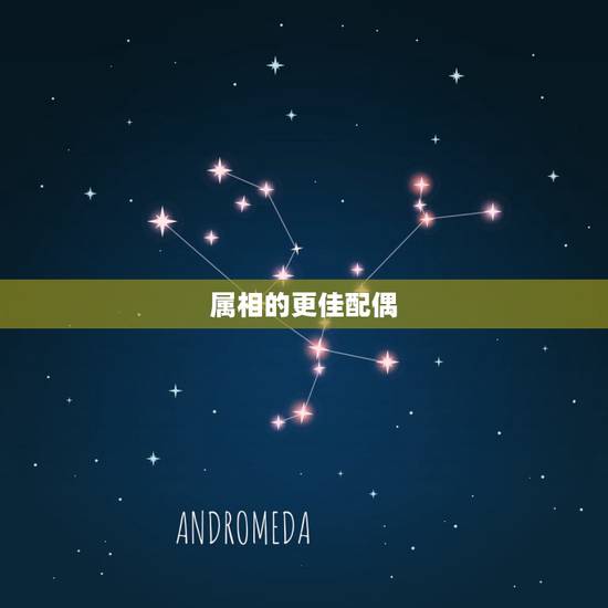 属相的更佳配偶，属相相生相克表