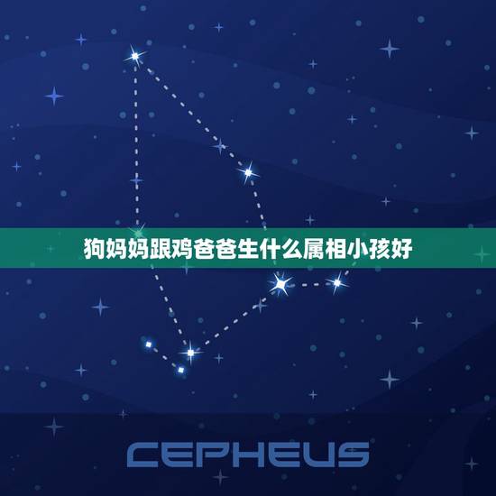 狗妈妈跟鸡爸爸生什么属相小孩好，妈妈属狗爸爸属鸡孩子属什么好