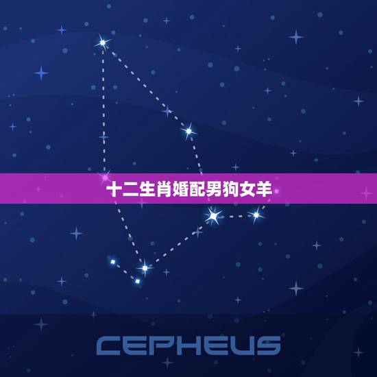十二生肖婚配男狗女羊，属相婚配狗和羊相配吗？