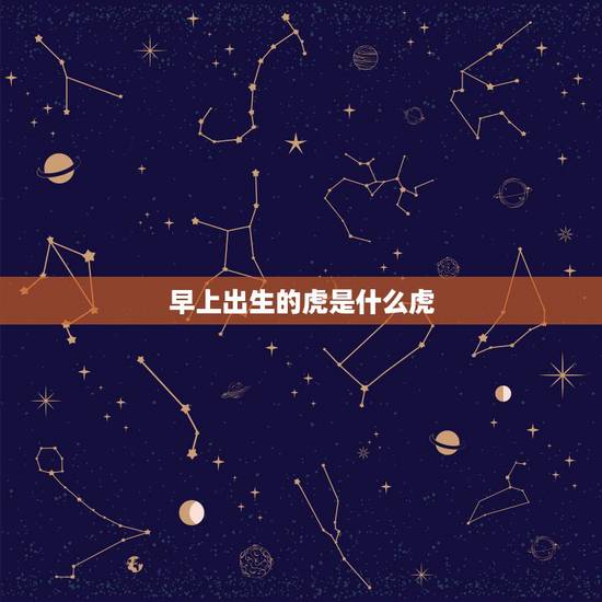 早上出生的虎是什么虎，午时出生的老虎是什么虎？ 怎么样。