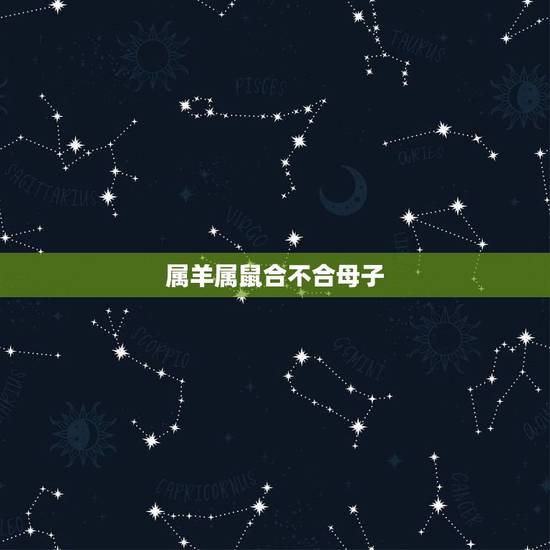 属羊属鼠合不合母子，属兔和什么属相最配
