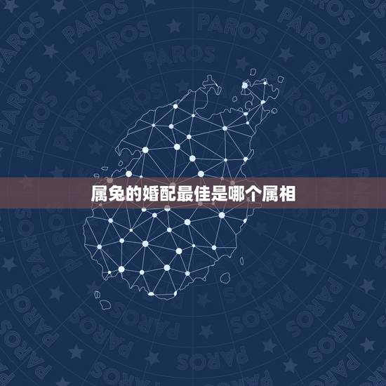 属兔的婚配最佳是哪个属相，属兔的和什么属相最配