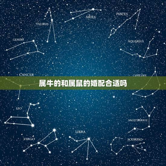 属牛的和属鼠的婚配合适吗,属牛的好什么属相相配啊? 属牛的和属鼠的婚配合适吗,属牛的好什么属相相配啊?