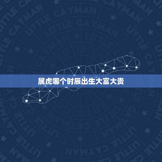 属虎哪个时辰出生大富大贵，属虎生在什么时辰有福气