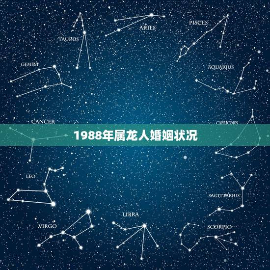 1988年属龙人婚姻状况，1988属龙人的婚姻