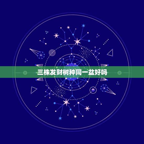 三株发财树种同一盆好吗,发财树三株种在一个盆里 有一株叶子发黄 其他两 三株发财树种同一盆好吗,发财树三株种在一个盆里 有一株叶子发黄 其他两