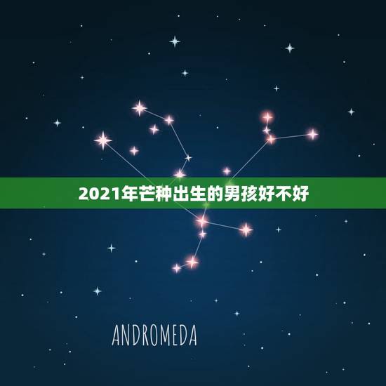 2021年芒种出生的男孩好不好，2021年二月二出生的男孩命运