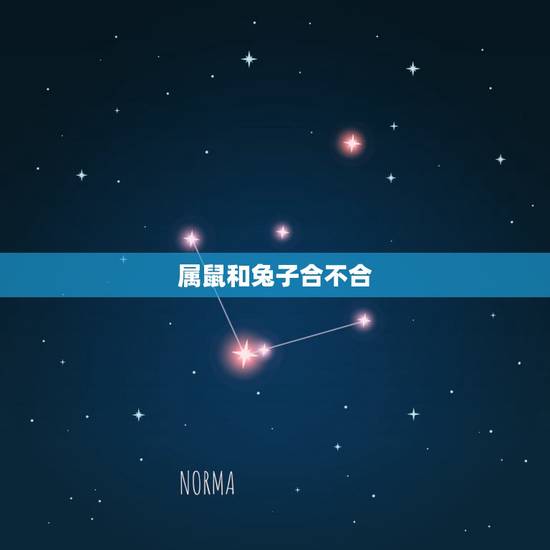 属鼠和兔子合不合,男兔女鼠的婚姻怎么样 属鼠和兔子合不合,男兔女鼠的婚姻怎么样