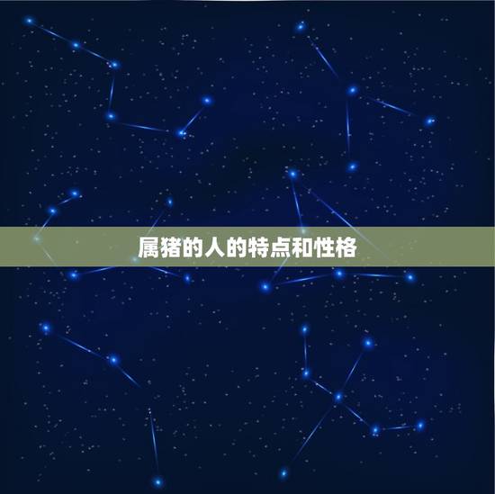属猪的人的特点和性格 属猪的人的特点和性格