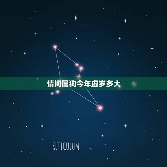 请问属狗今年虚岁多大，今年虚岁属狗的多大