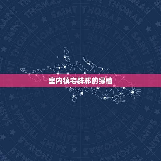 室内镇宅辟邪的绿植,哪些绿植,可以很好地净化室内空气? 室内镇宅辟邪的绿植,哪些绿植,可以很好地净化室内空气?