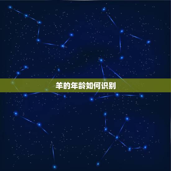 羊的年龄如何识别，怎么看羊的年龄图