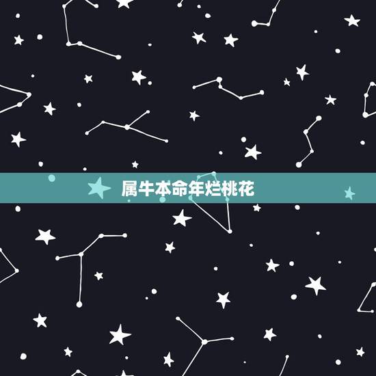 属牛本命年烂桃花，属牛本命年运势