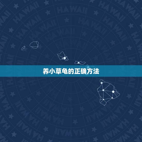 养小草龟的正确方法，如何正确的养普通小乌龟（急需）