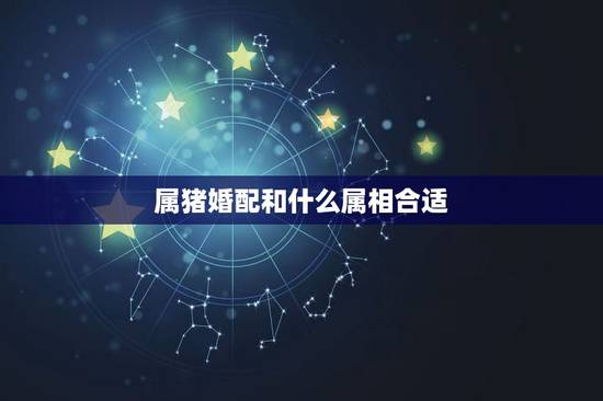 属猪婚配和什么属相合适，属猪和属猪的婚配