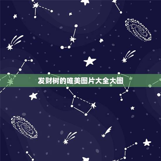 发财树的唯美图片大全大图，金边发财树图片