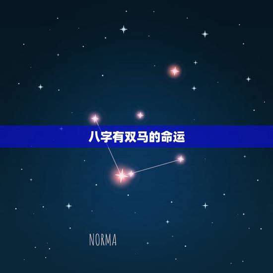 八字有双马的命运，生辰八字五行查询