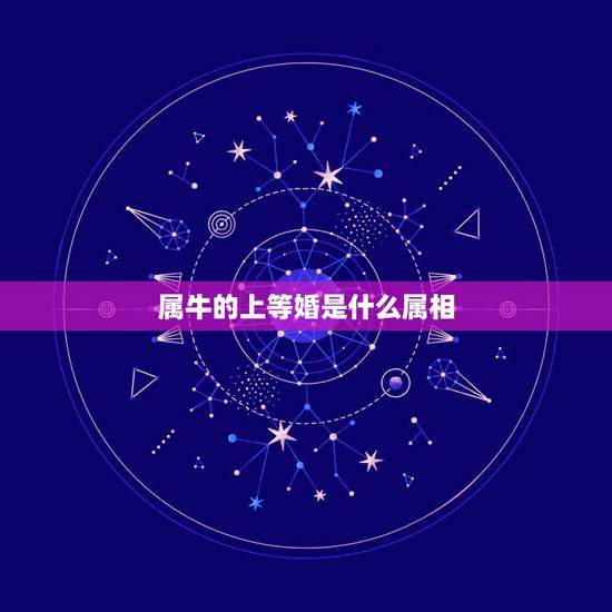 属牛的上等婚是什么属相,1997年属牛女的婚姻 属牛的上等婚是什么属相,1997年属牛女的婚姻