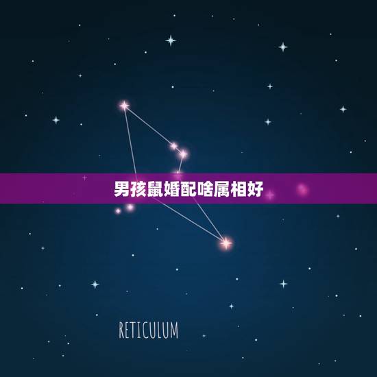 男孩鼠婚配啥属相好，属鼠和属鼠的相配吗