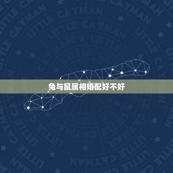 兔与鼠属相婚配好不好，兔子和老鼠的属相合适吗