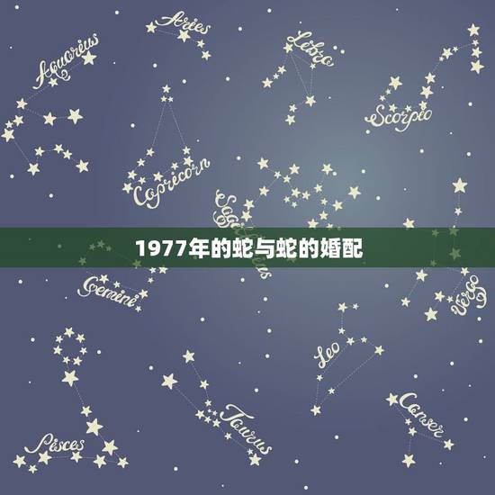 1977年的蛇与蛇的婚配,1977属蛇与1977年蛇相配? 1977年的蛇与蛇的婚配,1977属蛇与1977年蛇相配?